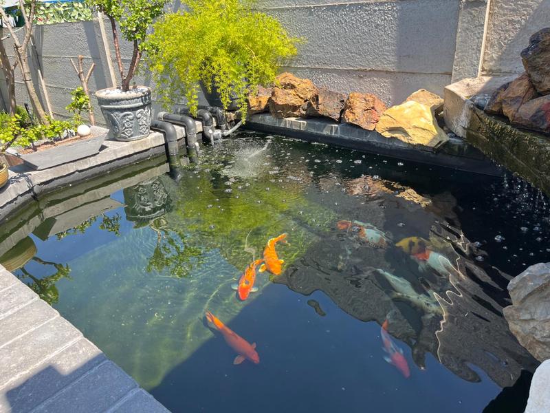 3 Bedroom Property for Sale in Hopefield Western Cape